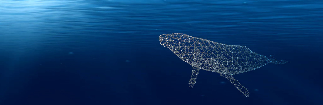Menu band showing a whale consisting of data points